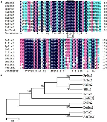 Molecular Identification of Two Thioredoxin Genes From Grapholita molesta and Their Function in Resistance to Emamectin Benzoate